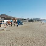 cambriaDR_0237 (November 02, 2019)